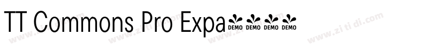 TT Commons Pro Expa字体转换